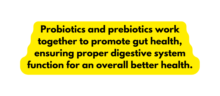 Probiotics and prebiotics work together to promote gut health ensuring proper digestive system function for an overall better health